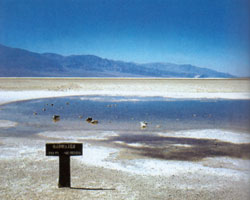 Badwater - Der tiefste Punkt der USA