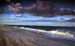 Cape Hanellopen State Park - Lewis - Delaware