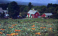 Warpole - Connecticutvalley