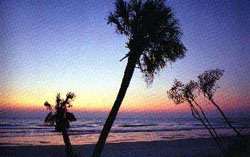 Strandidylle in Florida