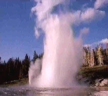 Geisyr im Yellowstone National Park