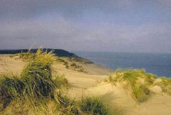 Auch das ist Indiana