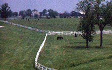 Bluegrass Region - Kentucky