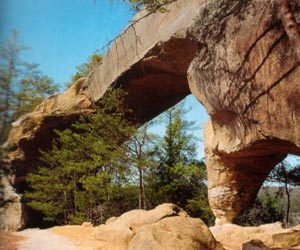 Daniel Boone National Forest - Kentucky