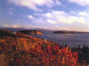 Acadia - Indian Summer - Maine