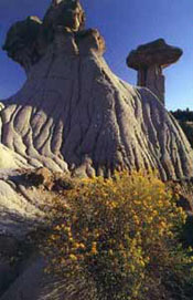 Makoshika State Park - Montana