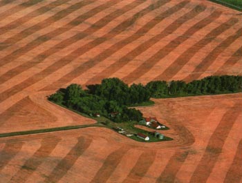 North Dakota von oben