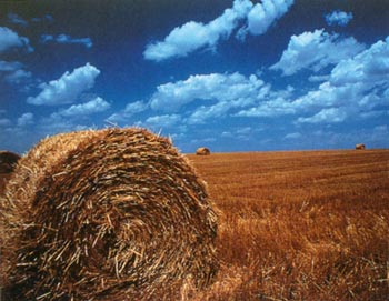 Nebraska