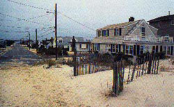 Loveladys - New Jersey