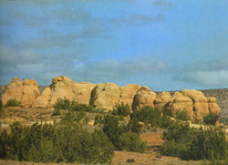 New Mexico