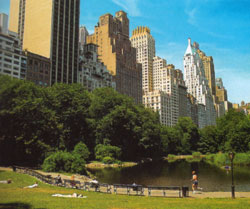 Central Park - New York