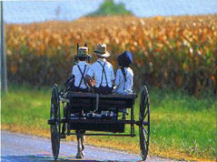 Amish People in Pennsylvania