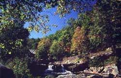 Babcock State Park - Clifftop - West Virginia